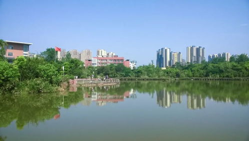 四川師范大學(xué)2021年普通高等教育本科招生章程解讀