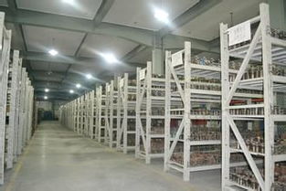 靈活倉(cāng)儲(chǔ)新選擇 上海小倉(cāng)庫(kù)30平起租，短租臨時(shí)倉(cāng)儲(chǔ)服務(wù)全解析